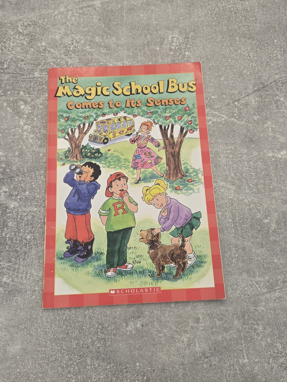 The Magic School Bus Comes to Its Senses Paperback Book Scholastic Reader